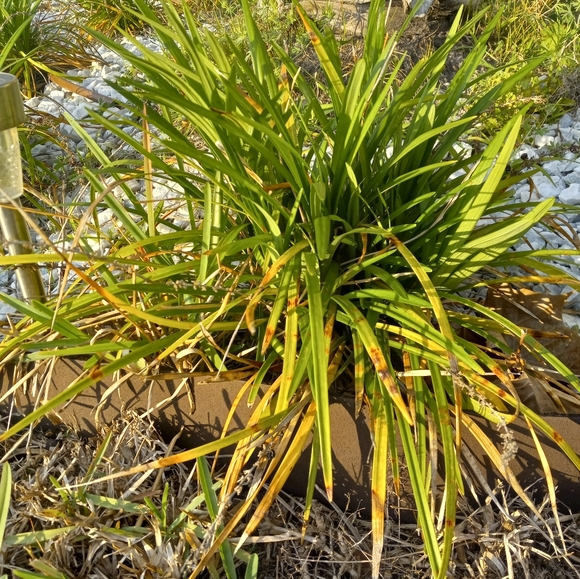 Bracelet and Necklace Set - Picture 1 of 1